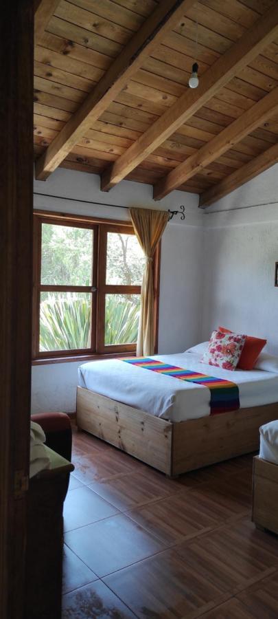Cabañas los cactus 2 Huasca de Ocampo Exterior foto