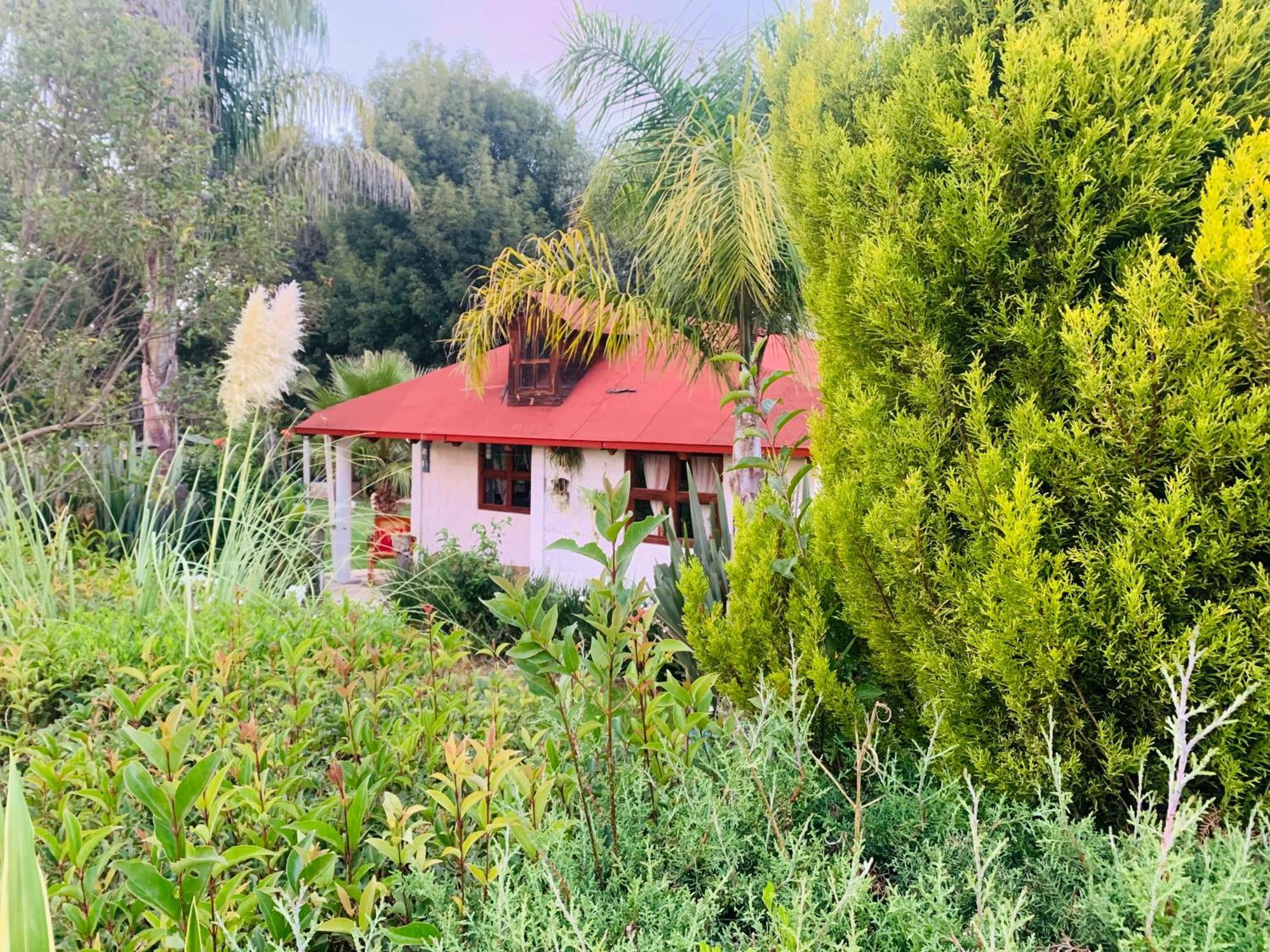 Cabañas los cactus 2 Huasca de Ocampo Exterior foto